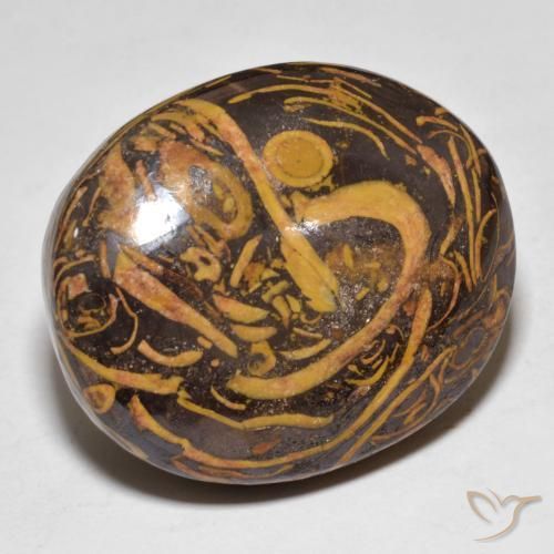 Jaspe Multicolore naturelle ovale, 48.68 ct, Opaque
