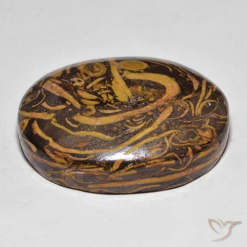 Jaspe Multicolore naturelle ovale, 48.68 ct, Opaque