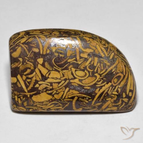 39.25ct Naturel Multicolore Jaspe, Fantaisie, Opaque