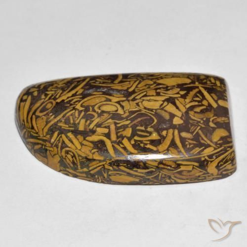 Jaspe Multicolore naturelle Fantaisie, 39.25 ct, Opaque