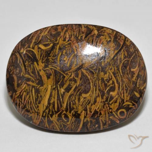 60.90ct Naturel Multicolore Jaspe, ovale, Opaque