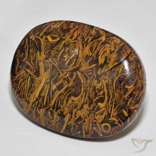 Jaspe Multicolore naturelle ovale, 60.90 ct, Opaque