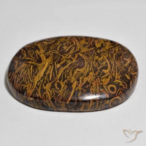 Jaspe Multicolore naturelle ovale, 60.90 ct, Opaque