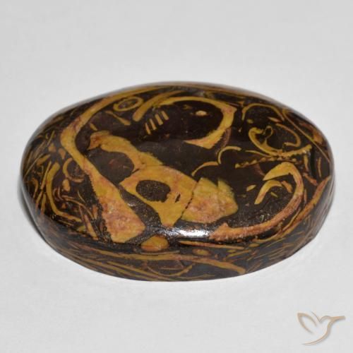Jaspe Multicolore naturelle ovale, 77.56 ct, Opaque