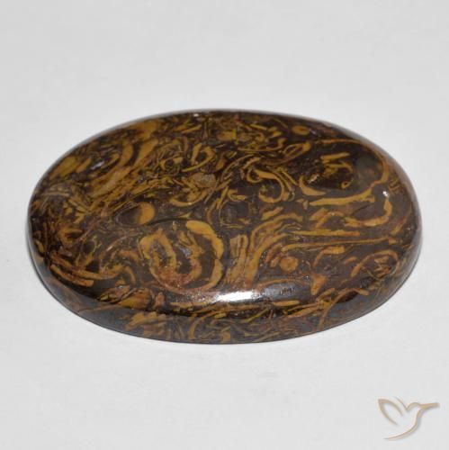 Jaspe Multicolore naturelle ovale, 87.67 ct, Opaque