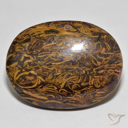 76.80ct Naturel Multicolore Jaspe, ovale, Opaque