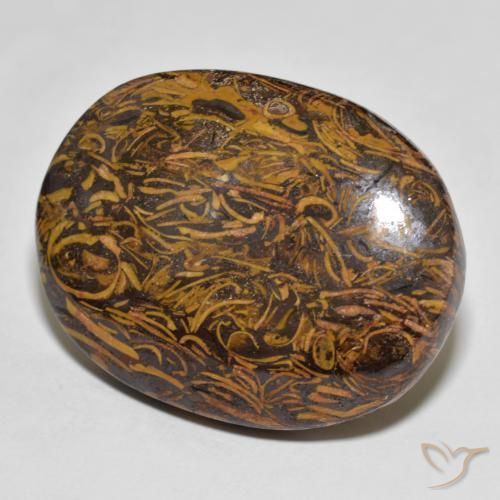 Jaspe Multicolore naturelle ovale, 76.80 ct, Opaque