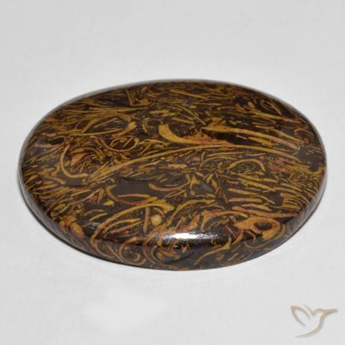 Jaspe Multicolore naturelle ovale, 77.23 ct, Opaque