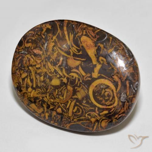 78.76ct Naturel Multicolore Jaspe, ovale, Opaque