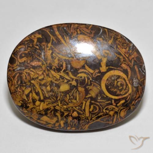 Jaspe Multicolore naturelle ovale, 78.76 ct, Opaque
