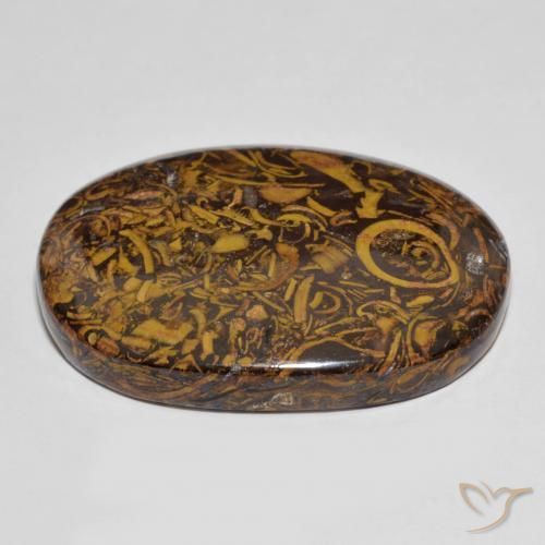 Jaspe Multicolore naturelle ovale, 78.76 ct, Opaque