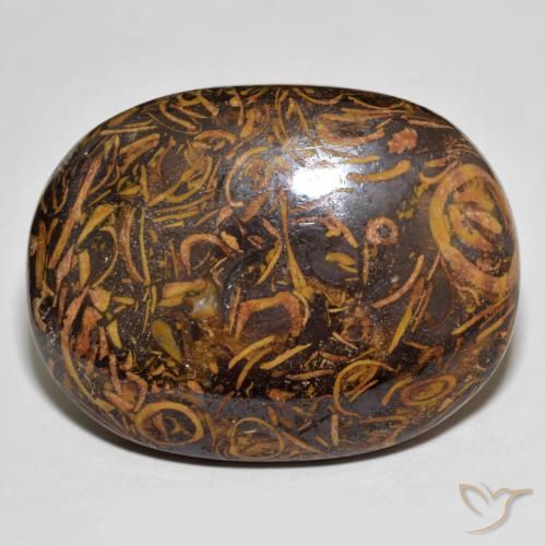 61.30ct Naturel Multicolore Jaspe, ovale, Opaque