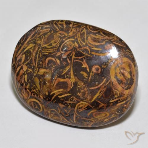 Jaspe Multicolore naturelle ovale, 61.30 ct, Opaque