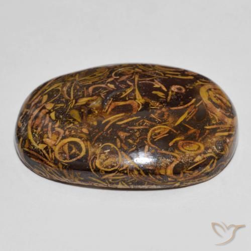 Jaspe Multicolore naturelle ovale, 61.30 ct, Opaque