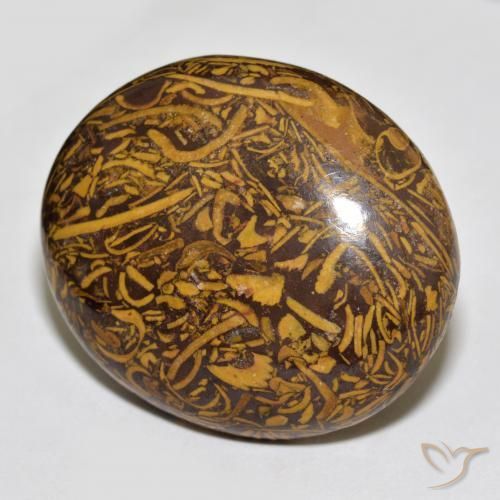 Jaspe Multicolore naturelle ovale, 66.56 ct, Opaque