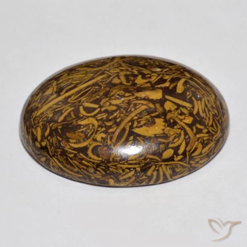 Jaspe Multicolore naturelle ovale, 66.56 ct, Opaque
