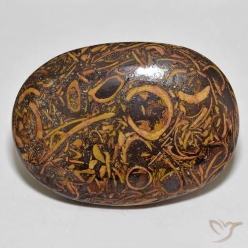 63.83ct Naturel Multicolore Jaspe, ovale, Opaque