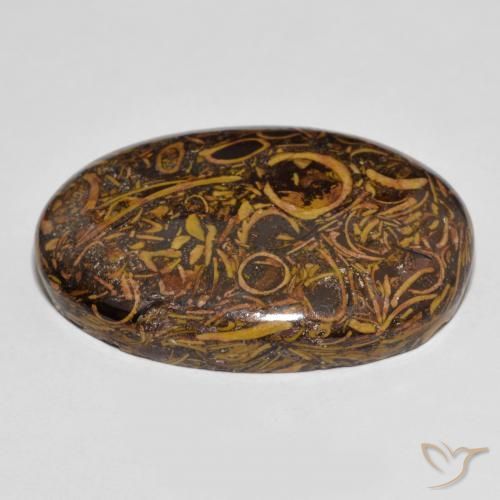 Jaspe Multicolore naturelle ovale, 63.83 ct, Opaque