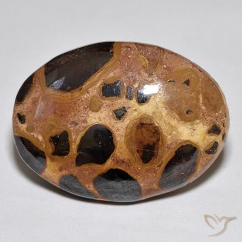 17.02ct Naturel Multicolore Jaspe, ovale, Opaque