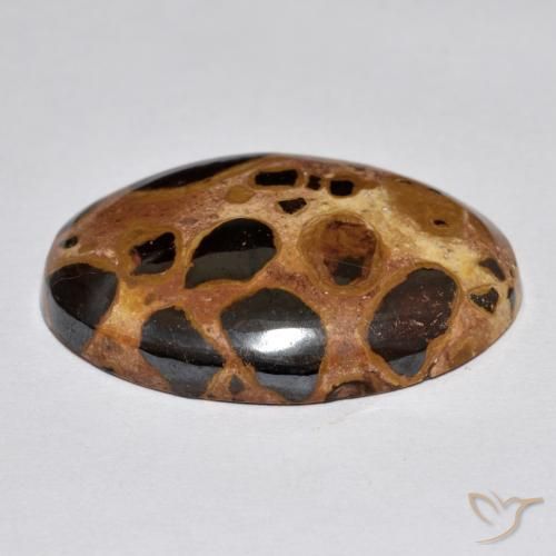 Jaspe Multicolore naturelle ovale, 17.02 ct, Opaque