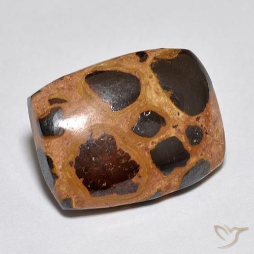 Jaspe Multicolore naturelle Coussin, 9.85 ct, Opaque
