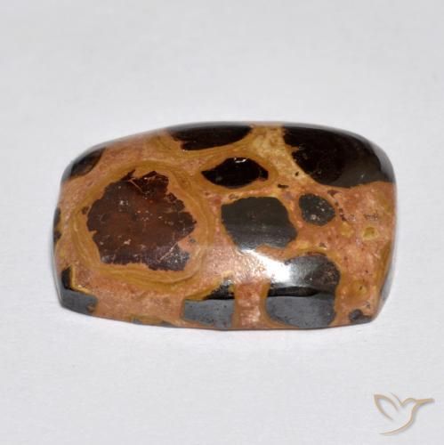 Jaspe Multicolore naturelle Coussin, 9.85 ct, Opaque