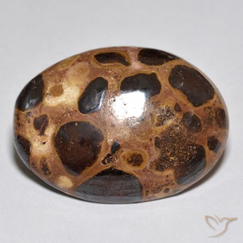 15.52ct Naturel Multicolore Jaspe, ovale, Opaque