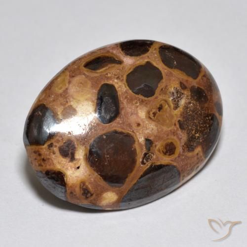 Jaspe Multicolore naturelle ovale, 15.52 ct, Opaque