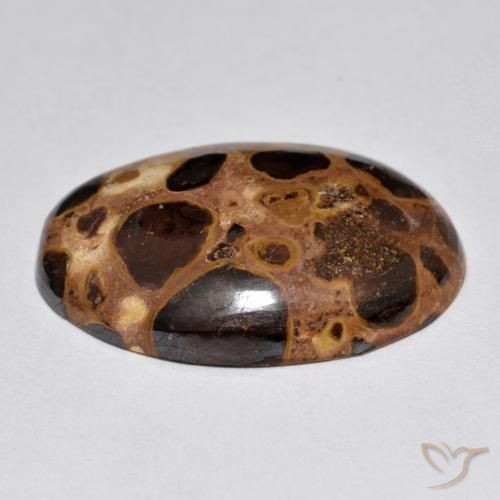 Jaspe Multicolore naturelle ovale, 15.52 ct, Opaque