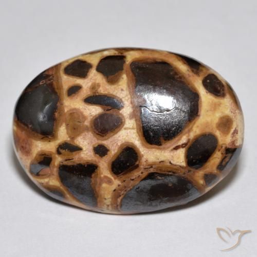 17.21ct Naturel Multicolore Jaspe, ovale, Opaque