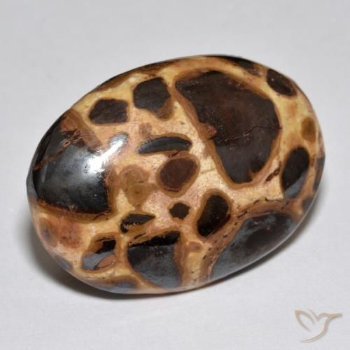 Jaspe Multicolore naturelle ovale, 17.21 ct, Opaque