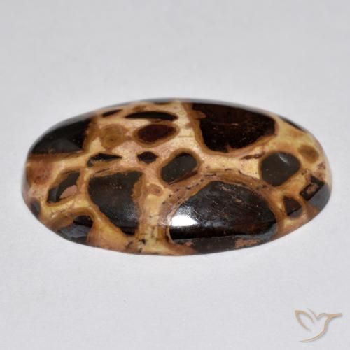 Jaspe Multicolore naturelle ovale, 17.21 ct, Opaque
