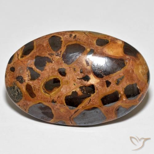 23.58ct Naturel Multicolore Jaspe, ovale, Opaque