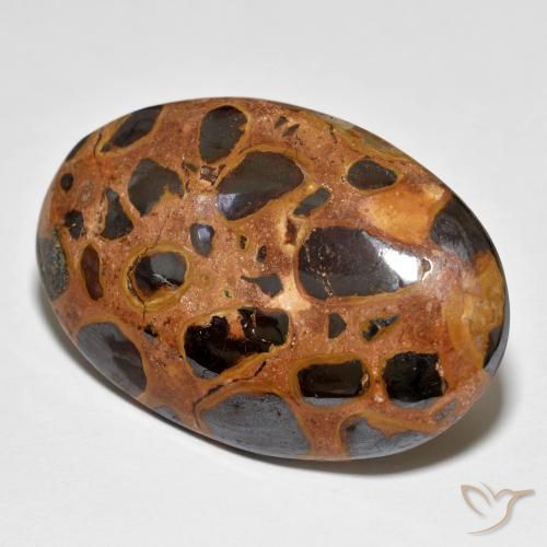 Jaspe Multicolore naturelle ovale, 23.58 ct, Opaque