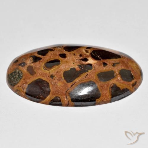Jaspe Multicolore naturelle ovale, 23.58 ct, Opaque