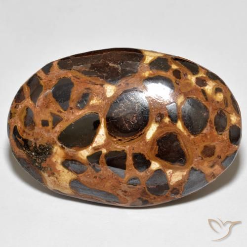 24.47ct Naturel Multicolore Jaspe, ovale, Opaque