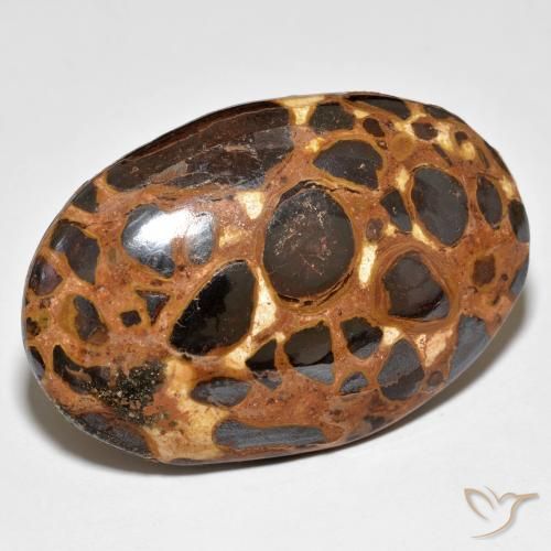 Jaspe Multicolore naturelle ovale, 24.47 ct, Opaque
