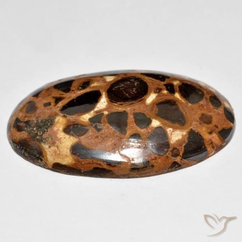 Jaspe Multicolore naturelle ovale, 24.47 ct, Opaque