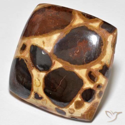 Jaspe Multicolore naturelle Coussin, 27.48 ct, Opaque