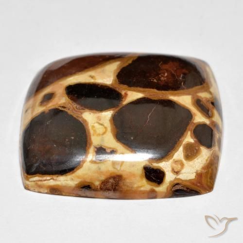 Jaspe Multicolore naturelle Coussin, 27.48 ct, Opaque