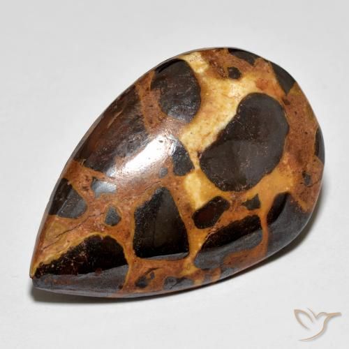 Jaspe Multicolore naturelle En forme de poire, 19.86 ct, Opaque