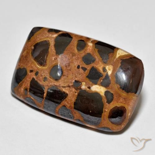 Jaspe Multicolore naturelle Coussin, 20.40 ct, Opaque