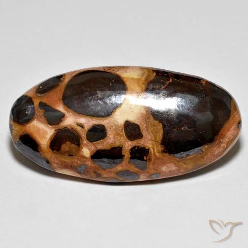 19.60ct Naturel Multicolore Jaspe, ovale, Opaque