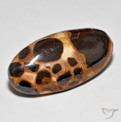 Jaspe Multicolore naturelle ovale, 19.60 ct, Opaque