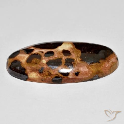 Jaspe Multicolore naturelle ovale, 19.60 ct, Opaque