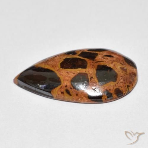 Jaspe Multicolore naturelle En forme de poire, 8.18 ct, Opaque