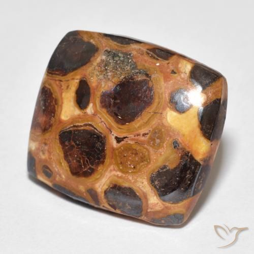 Jaspe Multicolore naturelle Coussin, 12.18 ct, Opaque