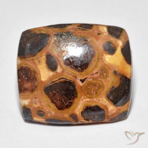 Jaspe Multicolore naturelle Coussin, 12.18 ct, Opaque