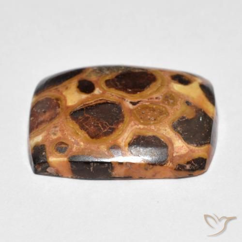 Jaspe Multicolore naturelle Coussin, 12.18 ct, Opaque