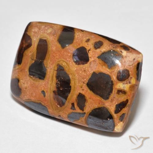 Jaspe Multicolore naturelle Coussin, 19.75 ct, Opaque